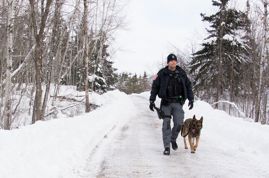 Paperboy to police officer: Cst. Berube in familiar territory with K-9 partner