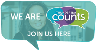 Thunder Bay Counts