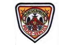 Anishinabek Police Service