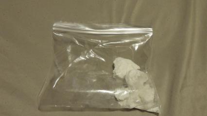 Southern Ontario man arrested, charged with trafficking cocaine